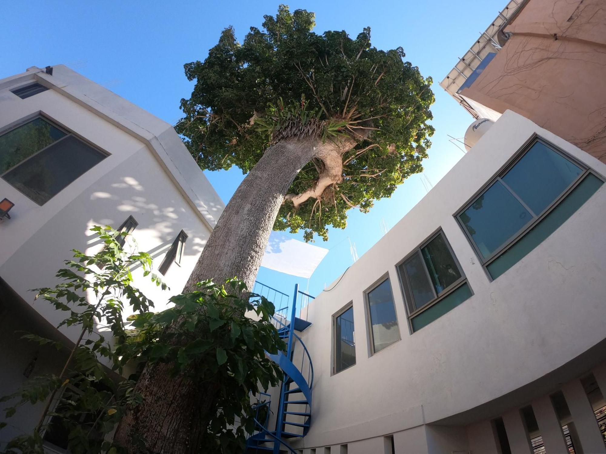 Casa Arbol De Paz Habitacion Doble Чакала Экстерьер фото